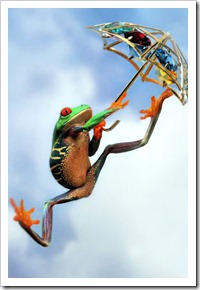 iPhone-Wallpapers-34