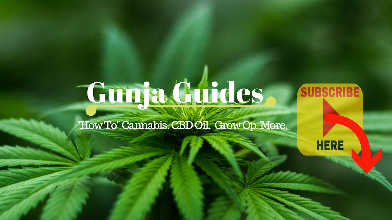 Gunja Guides