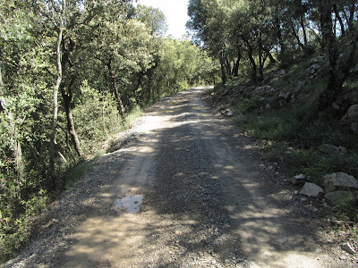 SANTA BÀRBARA DE PRUNERES (Montagut i Oix)
