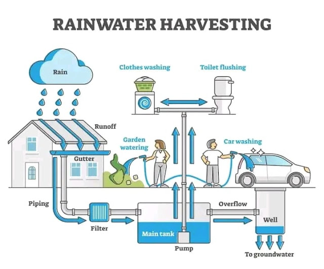 Diagram of a Box of Rain