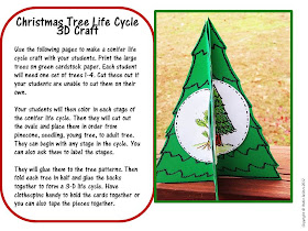 Christmas tree life cycle