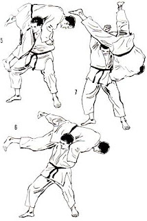 techniques judo