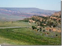 IMGP0316