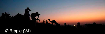 Posted by Ripple (VJ) :  Pushkar Camel Fair 2008 : Photographers clicking Sunset photographs @ Pushkar Camel Fair 2008 : The small and beautiful town of Pushkar is set in a valley just about 14 km off Ajmer in the north Indian state of Rajasthan. Surrounded by hills on three sides and sand dunes on the other, Pushkar forms a fascinating location and a befitting backdrop for the annual religious and cattle fair which is globally famous and attracts thousands of visitors from all parts of the world.