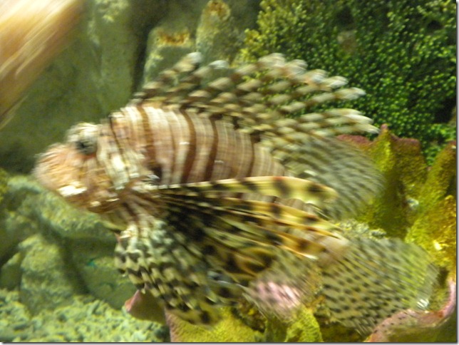 DSCN0638
