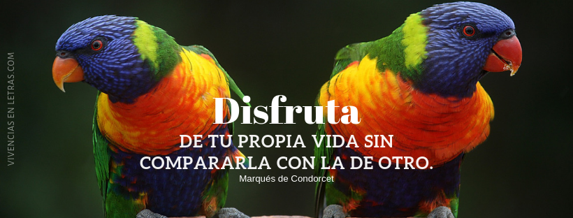 portada facebook con aves y frase