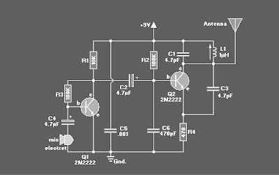 Microphone/Mic FM  Wireless 