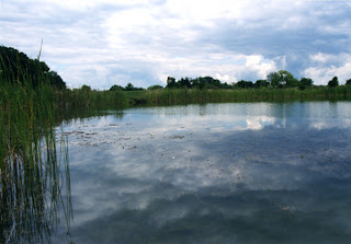 Pond at Metea Park