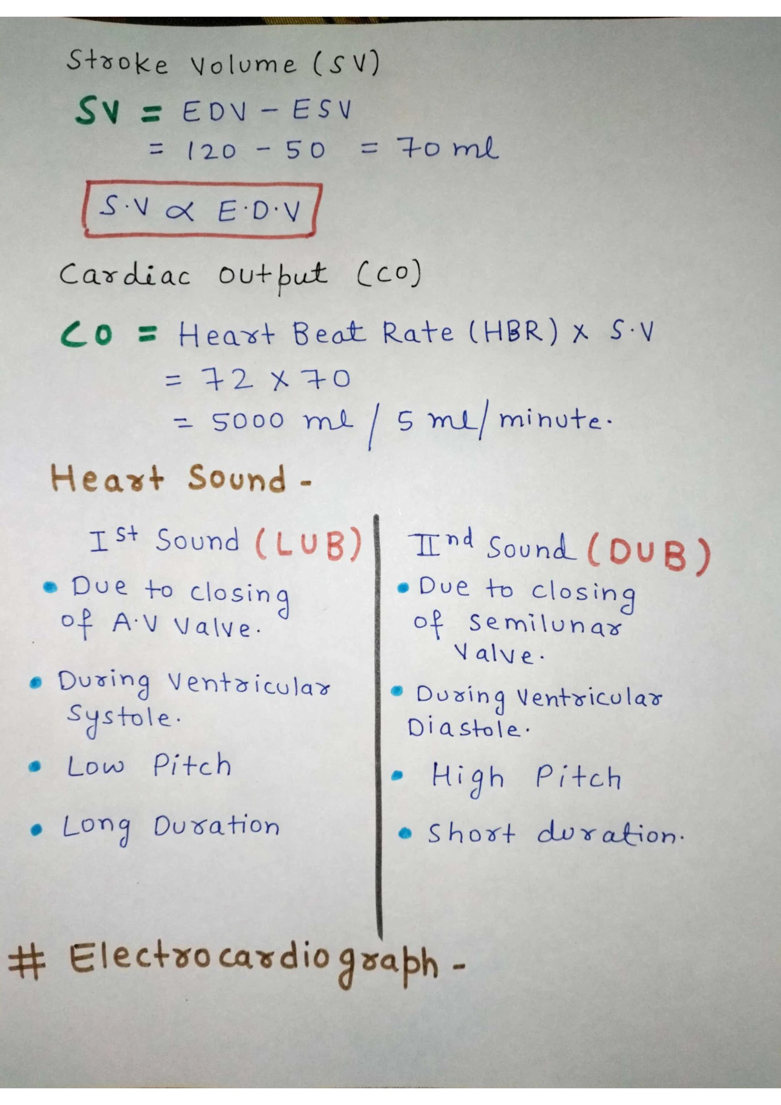 Body Fluids and Circulation - Blood, Lymph, and Heart Function