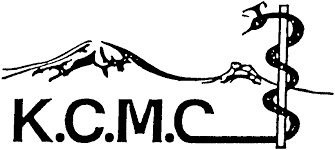KCMC New Job Vacancy: Assistant Nursing Officer II