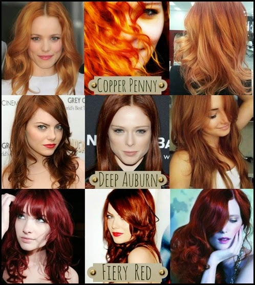 3 Pretty Different Red Hair Colors Hair Styles Color Ideas Bloglovin