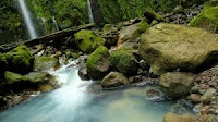 Cagar Alam Sibolangit | wonderful Indonesia