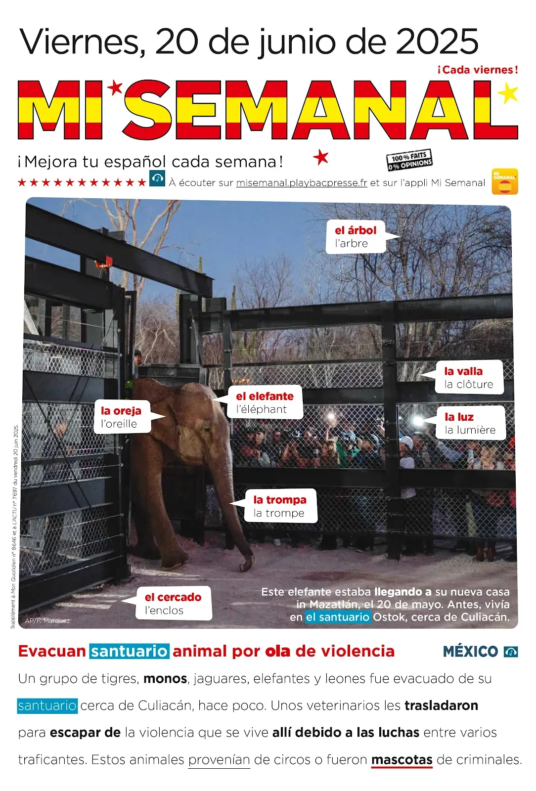 Viernes 20 de junio de 2025 - Mi Semanal