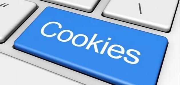 What are cookies...Do they pose a threat to our devices?