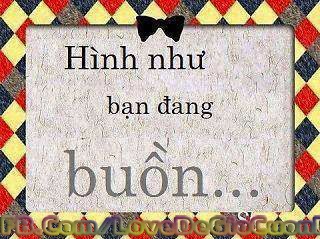 Ao thun cong nhan 