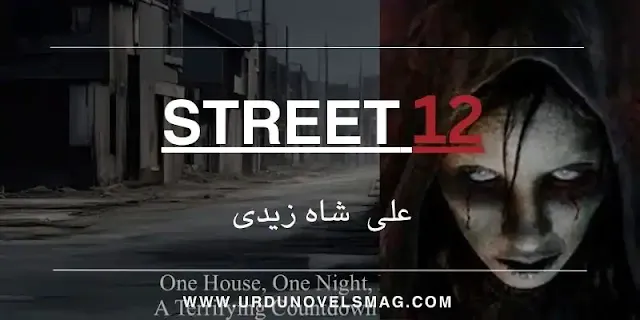 Street 12 by Muhammad Ali Shah Zaidi