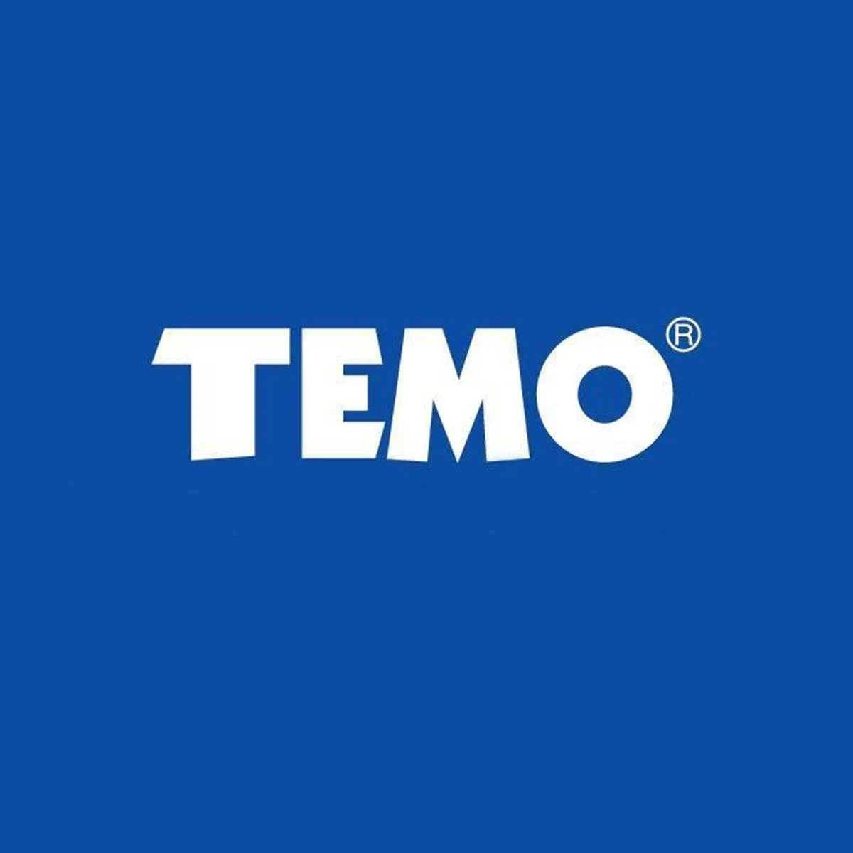 Work With Us At Temo Group Today