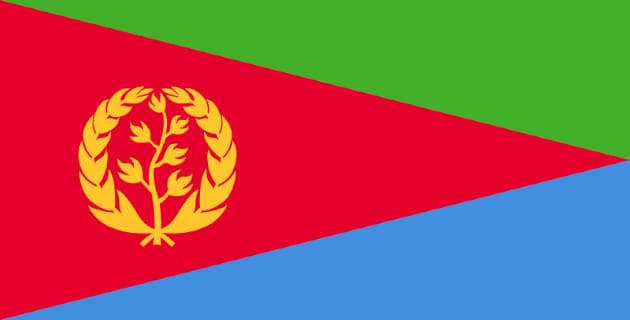 يتكون علم إريتريا من مثلث أحمر وفي وسطه غصن زيتون أصفر يحيط به إكليل أصفر ويفصل المثلث الأحمر بين مثلثين قائمي الزاوية حيث المثلث الأعلى لونه أخضر والأسفل لونه أزرق