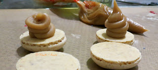 Macarons cacahuète, noisette, noix de pécan et noix de coco