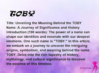 meaning of the name "TOBY"