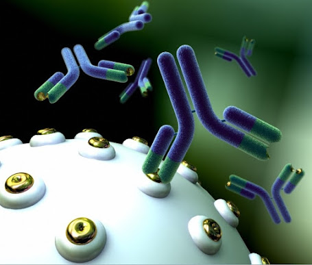 Monoclonal Antibody Diagnostic Reagents