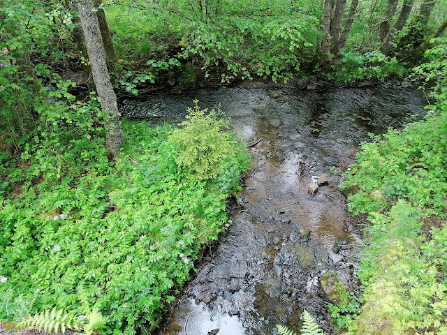 Sauerland wandern Wetter blog Kirchhundem Schwarzbachtal Rothaargebirge