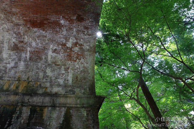 京都水路閣與楓樹 ∕ kyoto Sosui