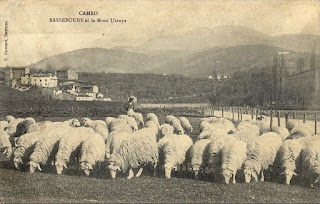 pays basque autrefois agricuture