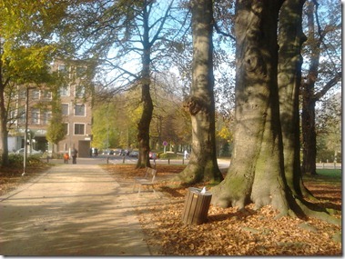 2011-11-19 11.55.48