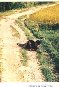 clip_image002