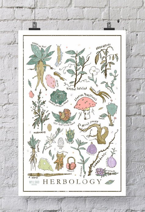 Harry Potter Herbology Print