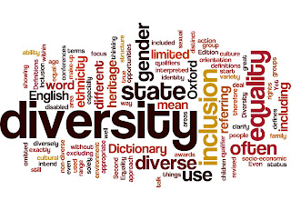 About Diversity/ What is Diversity?