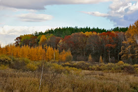 at Autumn's peak color, the neighborhood becomes very scenic