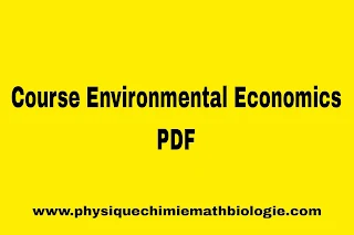 Course Environmental Economics PDF
