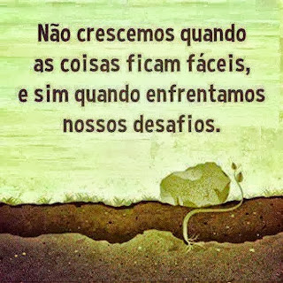 Desafio Frases para o facebook Tudo Nosso