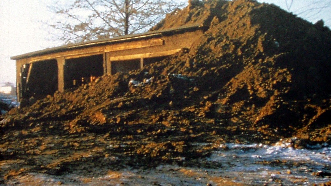 EARTH ART by Brad Robert Smithson's Partially Buried Woodshed