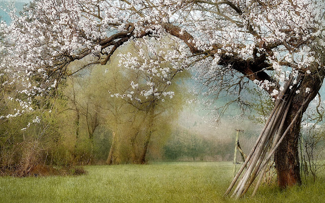 spring landscape photo hd, spring landscape image, spring landscape picture, spring landscape background, spring landscape desktop pc wallpaper, spring landscape high quality wallpaper