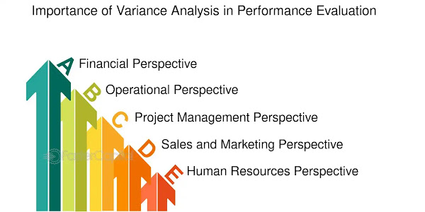 Analysis of the Impact of Budget Variations on Financial Performance and Employee Motivation 