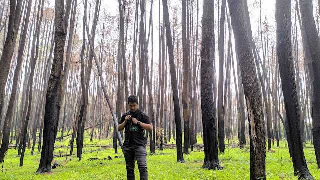 Wisata Alam Hutan Pinus Tala-Tala Maros