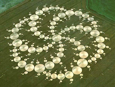 Fenomena Crop Circle Lingkar Tanaman Pola Unik