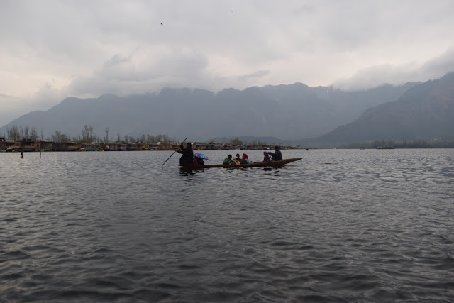 about Dal Lake