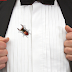 Groom sues clothing brand, Men's Wearhouse, claims there were ants in his suit