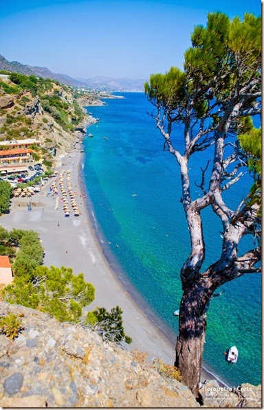 Agia Fotia