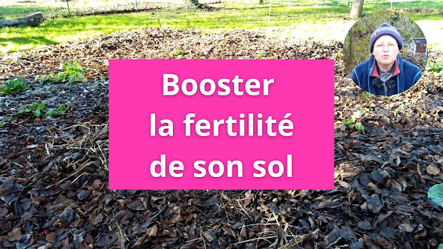 L'hiver, le moment idéal pour booster la fertilité de son sol (vidéo)