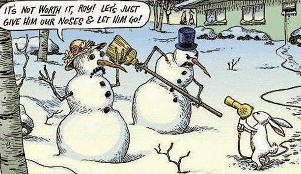 Cartoon funny pictures (279)