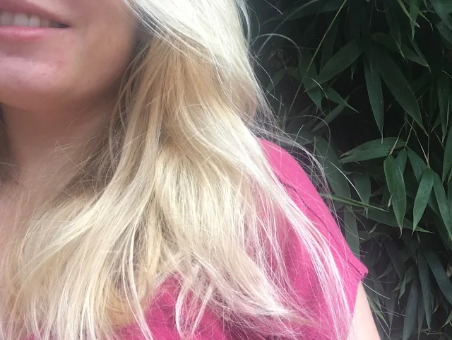 Partial portrait showing long blonde hair against a pink t-shirt and bamboo plant