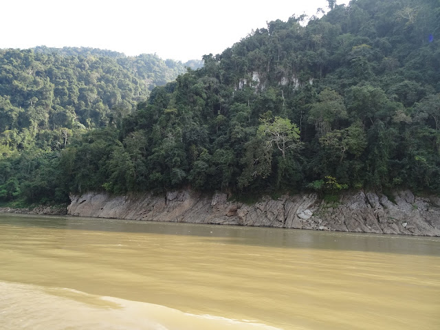 jungle river Mekong Laos