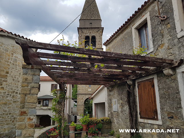 Praznik olja in bledeža Padna