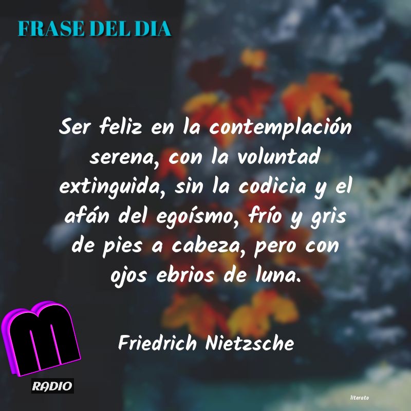 FRASE DEL DIA