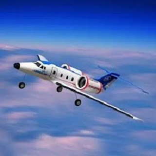 a pilot and a rat on an airplane